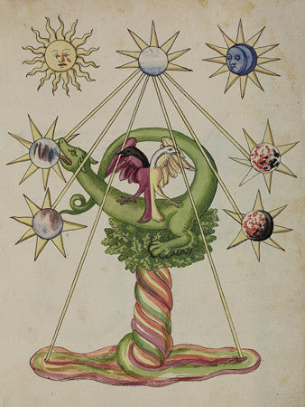 Alchemical Dragon and Two-Headed Bird