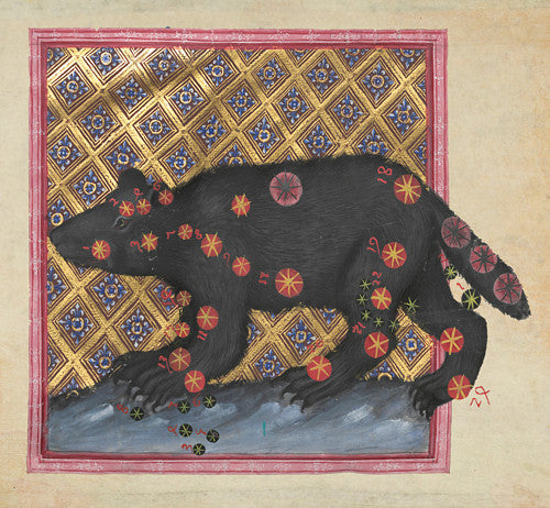 Ursa Major constellation, the Great Bear