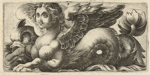 German engraving of a Sphinx-like seamonster. Antique artwork