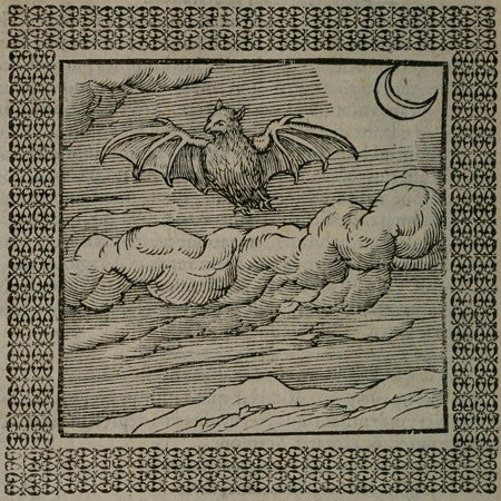 Flying Bat and Crescent Moon. Antique artwork