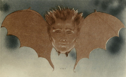 Devil Bat. Vintage illlustration. Satan 
