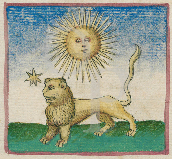 The Sun in the House of Leo. Fine Art Print - Opium of the Poets