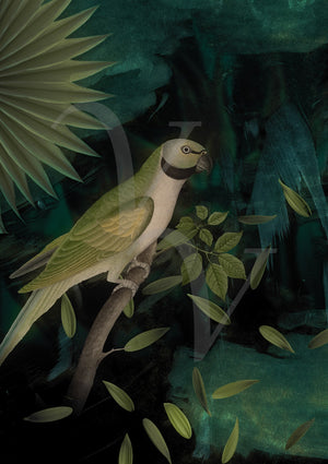 Night Parrot. Green nocturnal forest bird collage. Fine art print 