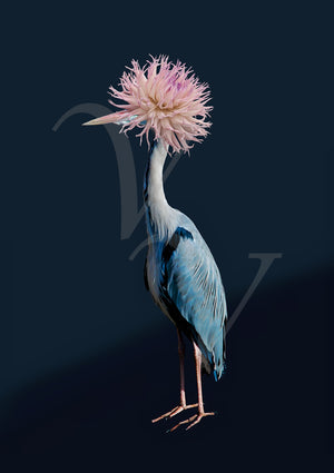 Gala. Surreal Blue Heron, Flower Bird Collage. Fine Art Print