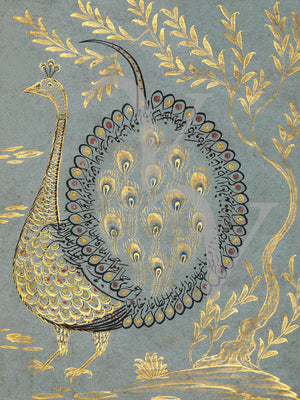 Turkish peacock painting. Fine art print