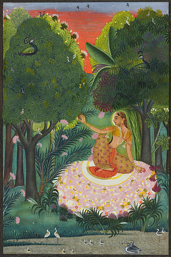Kamod Ragini.  Indian Ragamala painting of Radha waiting for her lover in a forest grove. Fine art print