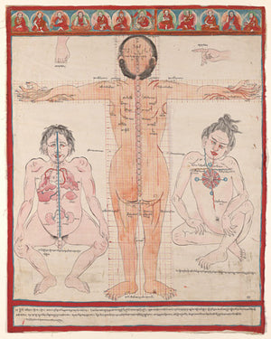 Tibetan Anatomical Painting. Tibet