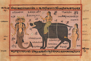 Paintings of various avatars of Vishnu, from an Indian Tantric manuscript. Fine art print