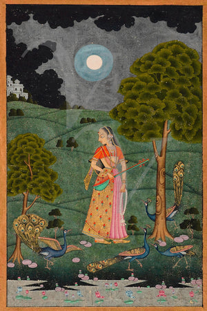 Indian Ragamala painting. Woman with peacocks under a full moon