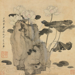 Lotus Flowers in Rock Pond. Chinese Ming Dynasty painting