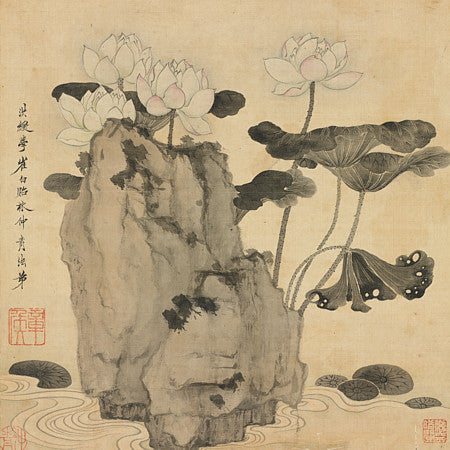 Lotus Flowers in Rock Pond. Chinese ink painting