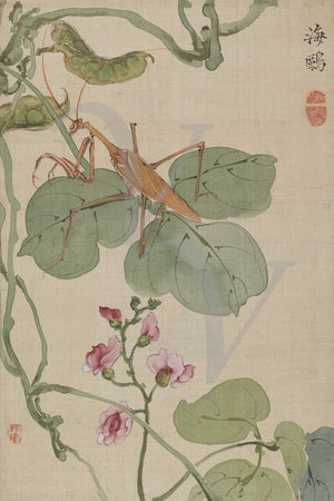 Grasshopper sitting on a leaf. Antique Japanese painting