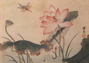 Lotus and Dragonflies. Korean nature painting