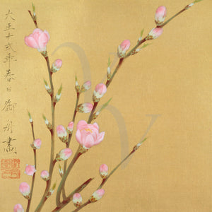 Peach Blossoms. Vintage flower painting, China