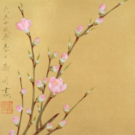 Peach Blossoms. Antique Chinese flower painting 