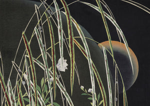 Nocturnal landscape. Japanese design painting