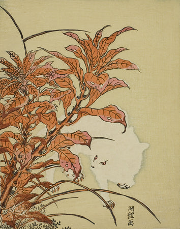 White Rabbit and Amaranth by Isoda Koryusai. Japanese art print