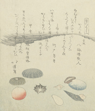 Sea Shells and Waves by Totoya Hokkei. Japanese woodcut artwork