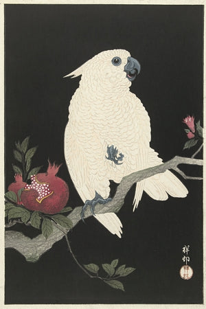 Japanese woodcut of a cockatoo. Fine art print