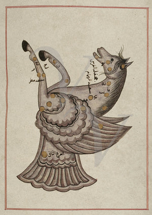 Pegasus constellation. Persian astronomy fine art print