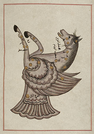 Persian Pegasus constellation fine art print
