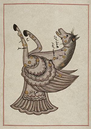 Persian Pegasus constellation fine art print