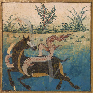 Fantastical horse. Persian Iranian artwork. Fine art print
