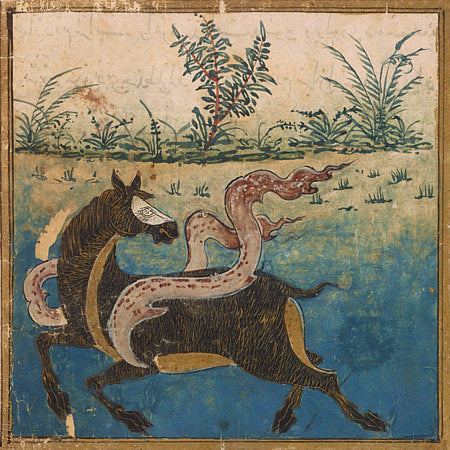 Fantastic horse. Persian Iranian artwork. Fine art print