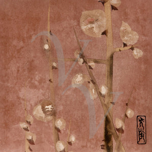 Japanese plum blossoms fine art print 