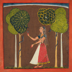 Woman feeding snakes. Indian Ragamala painting. Fine art print