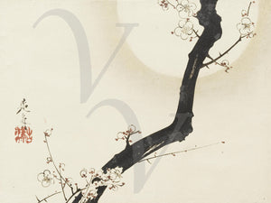 Japanese flowering tree. Fine art print