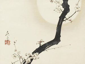 Japanese flowering tree. Fine art print