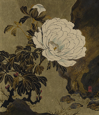 Peonies. Japanese lacquer painting. Fine art print 