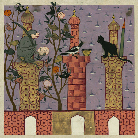 Monkey, Bird and Cat