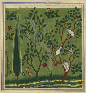 Animals in trees. Antique Persian/Arabic manuscript artwork. Fine art print 