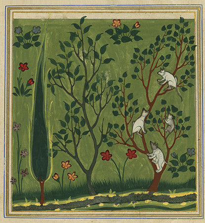 Animals in trees. Antique Persian/Arabic manuscript artwork. Fine art print