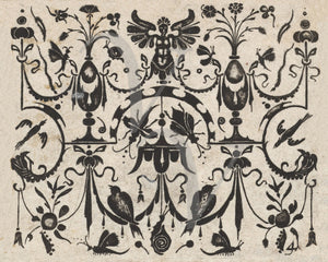 Bird, insect and curiosities. Antique decorative artwork. Fine art print