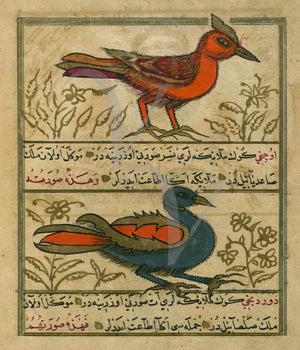 Ottoman Turkish angels in the form of birds. Fine art print 