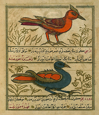 Angel Birds from antique Ottoman Turkish manuscript. Fine art print 
