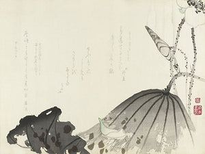 Japanese Lotus Leaves. Antique artwork Fine Art print
