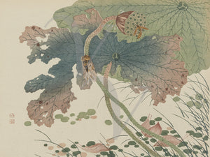 Japanese nature woodblock print. Insects and leaves. Fine art print