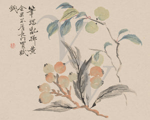 Loquat Tree Branches and Fruit. Japanese Edo period watercolor. Fine art print