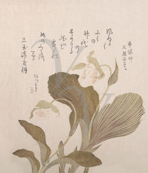 Hotei Flowers by Kubo Shunman. Japanese woodblock fine art print