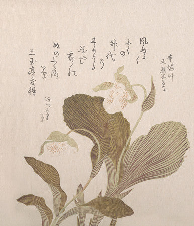 Hotei Flowers by Kubo Shunman. Fine art print