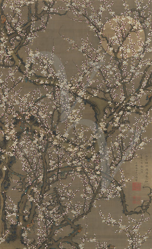 Japanese plum blossoms painting. Flowering tree and full moon. Fine art print