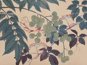 Berries and Leaves. Antique Japanese woodblock. Fine art print