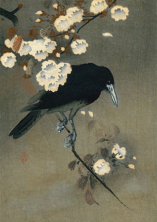 Crow and Blossoms. Japanese woodblock print by Ohara Koson. Fine art print