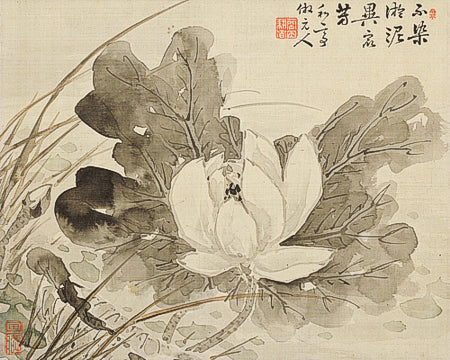 Lotus Flower. Antique Japanese painting. Fine Art Print 