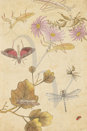 Nature garden with dragonfly and grasshoppers. Korean painting. Fine art print