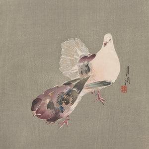 Two Doves. Japanese antique woodblock print. Fine art print